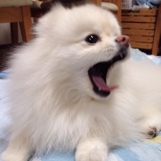 20150123140713529.JPG